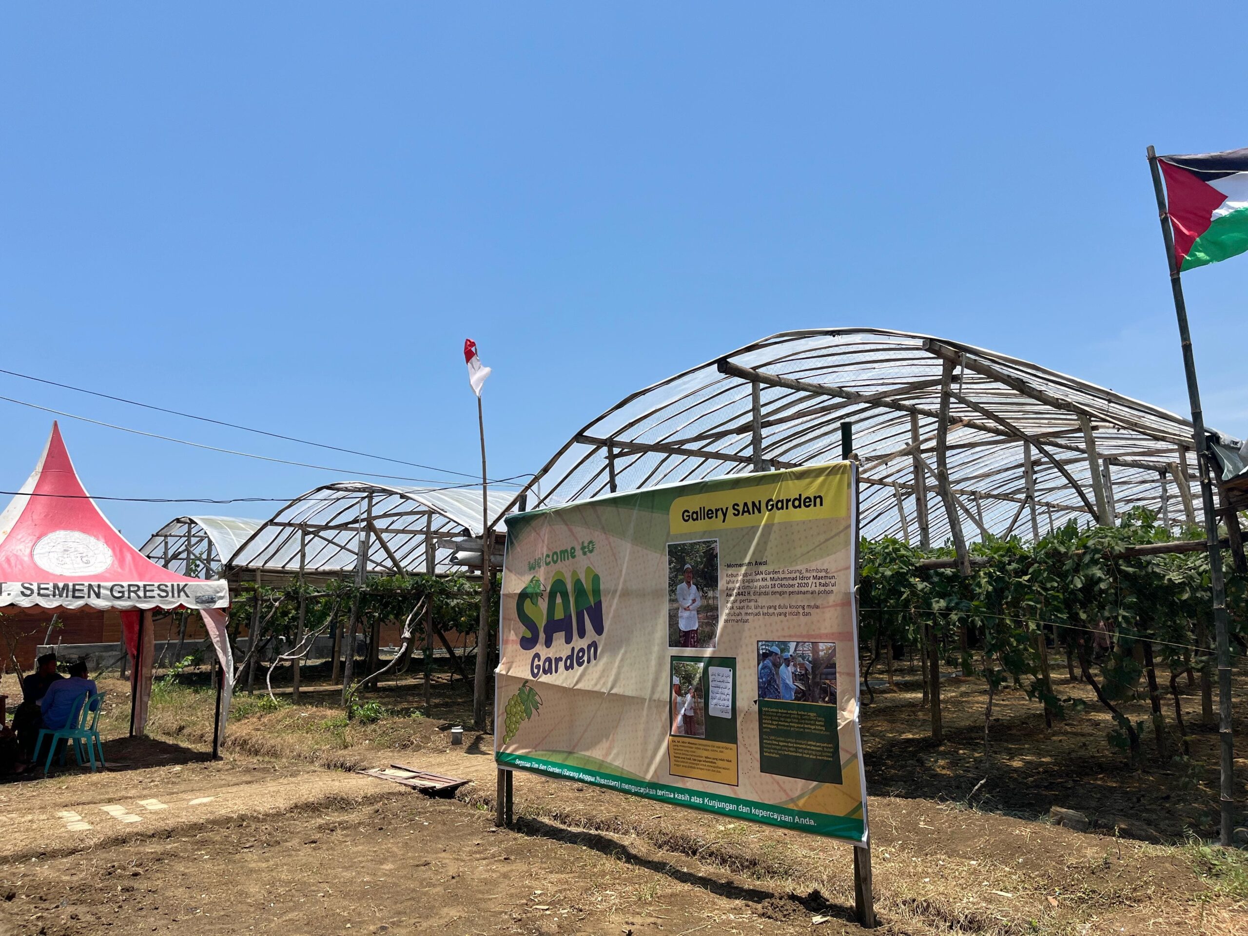 San Garden, Kebun Anggur Santri di Rembang: Harmoni Antara Iman dan Kemandirian